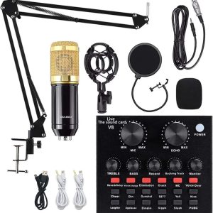 Professional Condenser Microphone,