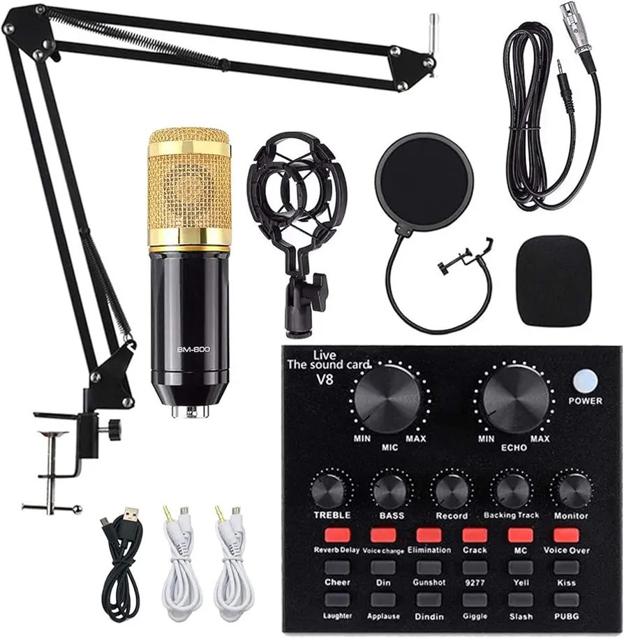 Professional Condenser Microphone,